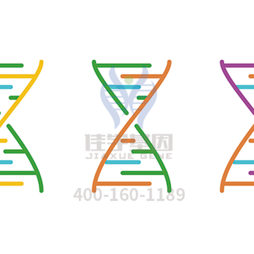 【眼科遗传病】<font color='red'>BEST</font>病基因解码、<a href=http://www.hnwpmy.com/tk/jiema/cexujishu/2021/31933.html>基因检测</a>