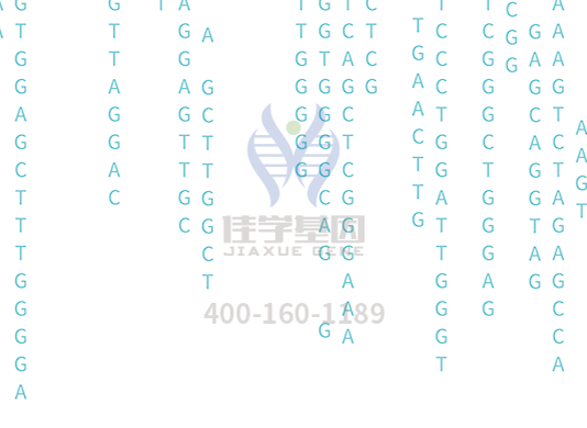 【28圈28圈基因检测】<font color='red'><font color='red'>庞贝</font>氏</font>症（Pompe disease)基因解码、基因检测