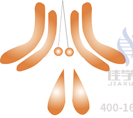 全基因测序EVI2B分子病理检测有意义未明突变，我该怎么办？